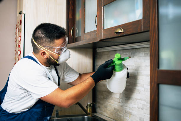 Best Flea Control Services  in Bellevue, WA