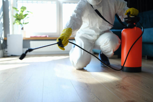 Professional Pest Control in Bellevue, WA