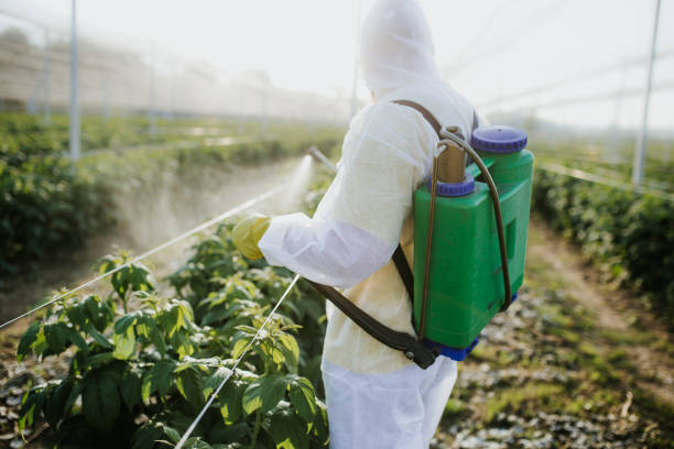 Best Best Pest Control Companies  in Bellevue, WA